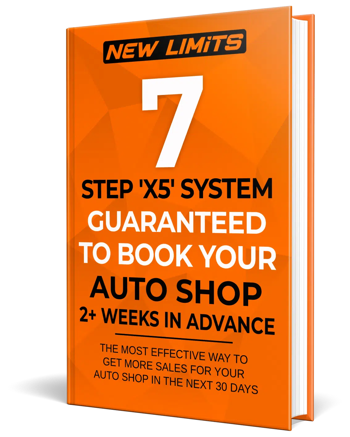 7 Step X5 System book
